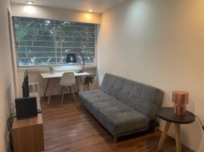C1 Amazing cozy apartment in Condesa
